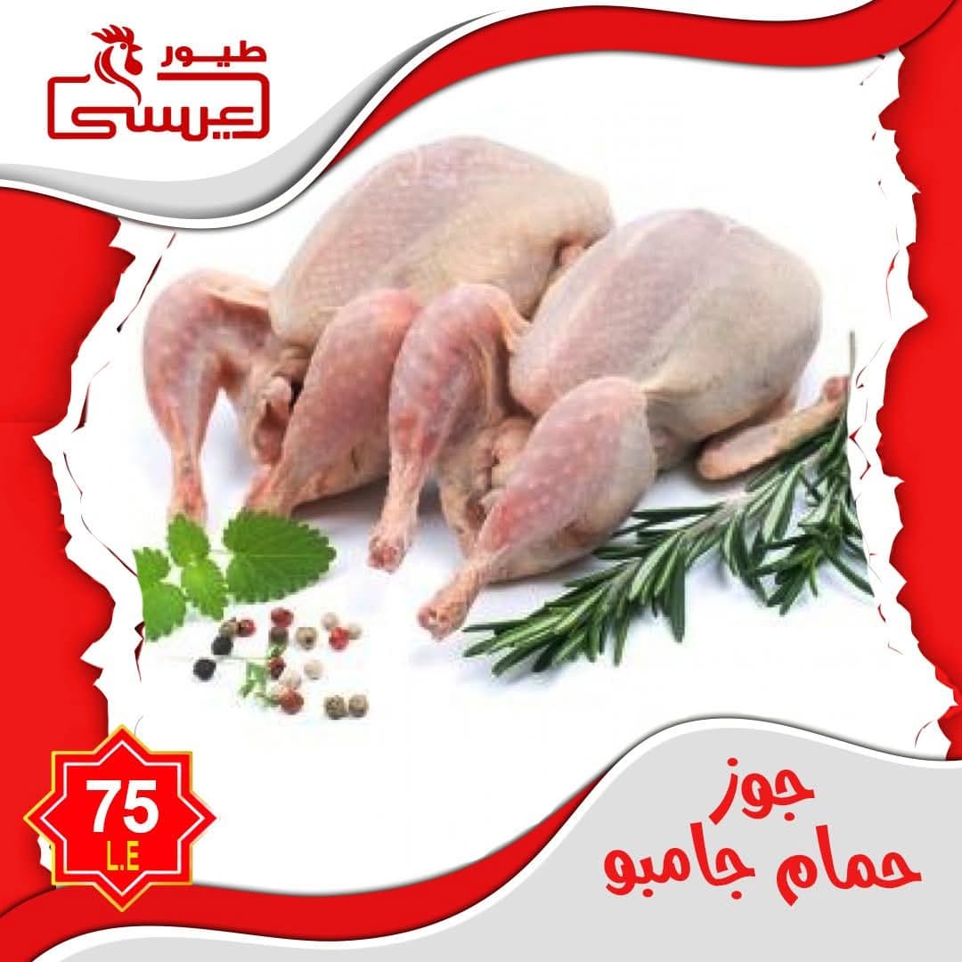 جوز حمام فلاحي